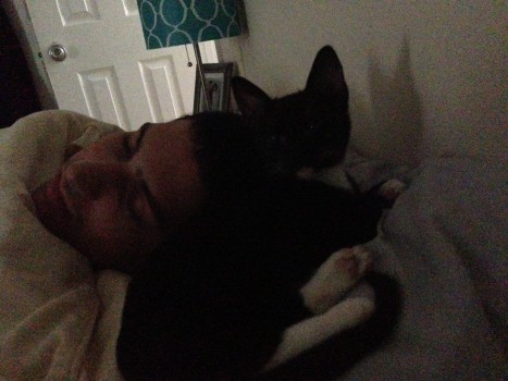 Harvey and Dennis sleeping