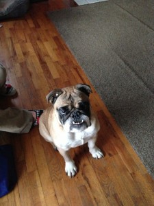 Bella!