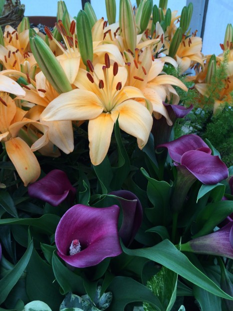 Our wedding flowers were growing right next to each other!