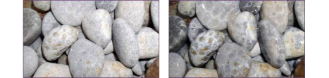 Dry stones on the left, wet stones on the right